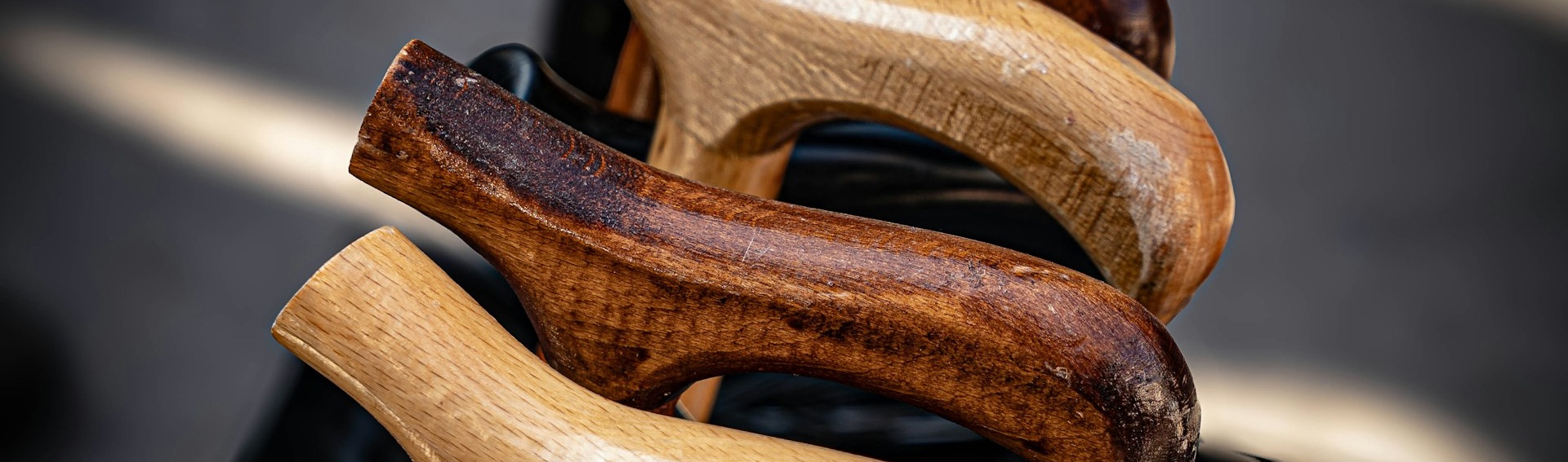 walking stick
